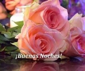NERE