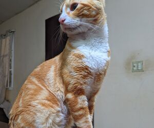 Emanuel