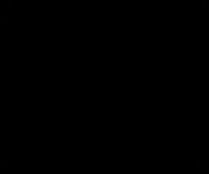 Ainara