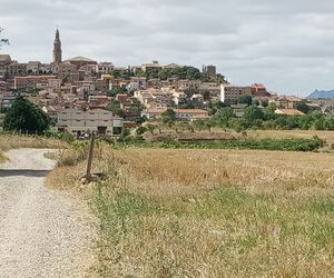 Marila