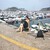 Ainhoa