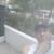 Ismael
