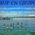 Paddle surf Ba