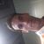 David_78  
