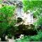 CUEVA DEL ELEFANTE