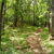 Silencio, Valle del ...; faldas del P. El Moro; tomar algo
