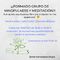 CLASES SEMANALES MINDFULNESS Y MEDITACIí“N