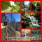 ðŸžï¸Ruta Circular: Ruta de Las Cascadas de Viaña, Cantabria.