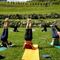 Yoga en el Parque