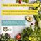La dieta antiinflamatoria 