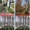 íšltima Exc. Otoñal: Sierra de Urbasa y El Hayedo/Bosque Encantado
