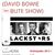 Concierto tributo David Bowie