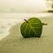 PROGRAMA MINDFULNESS Y MEDITACIí“N