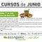 Taller de Introducción al Ayurveda en Bilbao