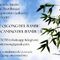 Taller de Qigong del bambú Zhu Dao / Camino del bambú II