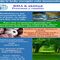 Grupo Mindfulness Zalla