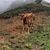 Canteras de Arrigorriaga bajo el mendi Larrako, Paga Canteras