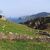 Alonsotegi, Errekatxo, Gurutzeta, 