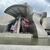 Jueves por Bilbao