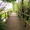 Paseos  por Getxo