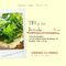 Taller de Cocina -Tofu y sus derivados-
