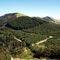 MONTE PIKO DE LA CRUZ