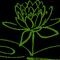 CLASES SEMANALES DE MINDFULNESS Y MEDITACIí“N