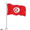 Viaje a Túnez