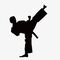 taekwondo
