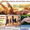 Sesión abierta y gratuita de Biodanza