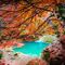 Fin de semana para solter@s en Selva de Iraty y Sain-Michel Paseos colores de OtoÃ±o y fotografÃ­Â­a