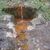 Fuente del Oro -Somo-San Martin, Fuente del Oro