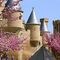 Excursion a Castillo Olite Navarra 