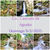 Exc.: Ruta lineal: Cascada de Aguake, Antoñana - Maezu por la Vía Verde Vasco-Navarra