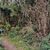 Barrika Trail