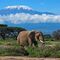 Viaje a Tanzania y Zanzíbar