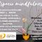 Taller Espacio Mindfulness