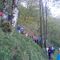 EL GRAZAL, arroyo y bosque (quizás mt. Luxar o ...)