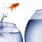 Sesiones de Coaching. Gratis