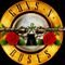 Concierto Guns N- Roses