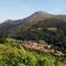 GRAZAL bosque y arroyo, monte Lujar opcional