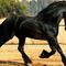 Montar  a caballo x Laredo y pintxo pote por Santoña