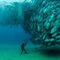 Grupo buceo bilbao