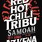 Red Hot Chili Peppers tributo en Azkena de Bilbao