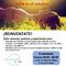 ¡Reinventate ¿Cómo ser feliz y no sufrir en el intento?