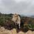 Alonsotegi, Kobatxu, Somo, San Martin por la Fuente del. Oro