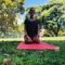 Quedada para hacer yoga en la naturaleza 