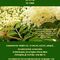 AUTOGESTIí“N DE LA SALUD Y PLANTAS MEDICINALES 26,27,28 JUNIO