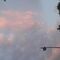 fotografia