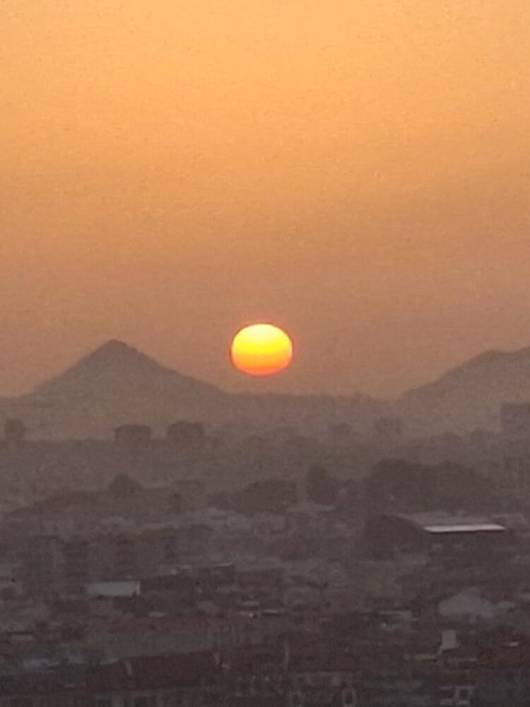 Foto de perfil de Avelino